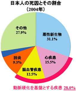 日本人の死因とその割合