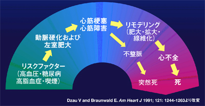 循環器疾患の経路