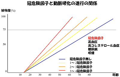 冠危険因子と動脈硬化の進行の関係