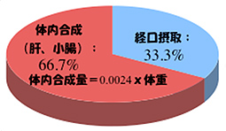 コレステロールの割合図