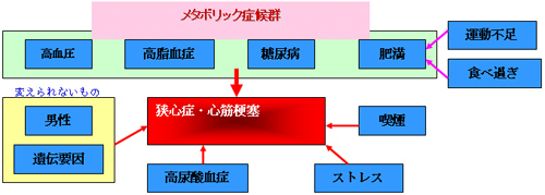 メタボリック症候群